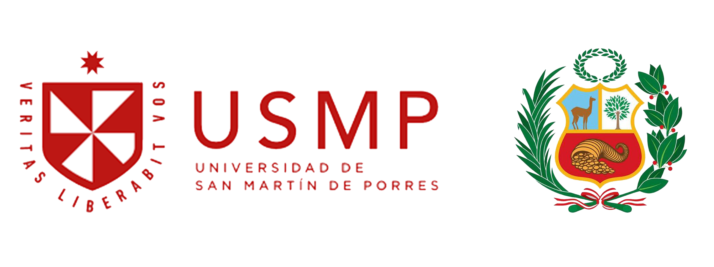 UNIVERSIDAD PERU